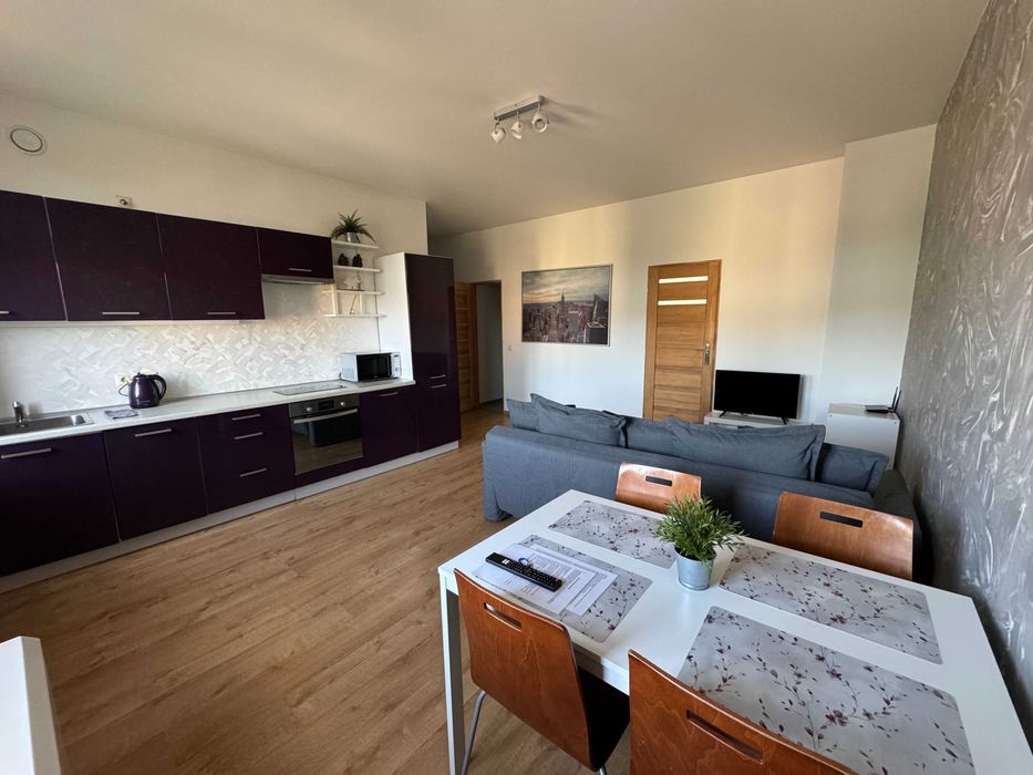 Mieszkanie do wynajęcia na doby, godziny