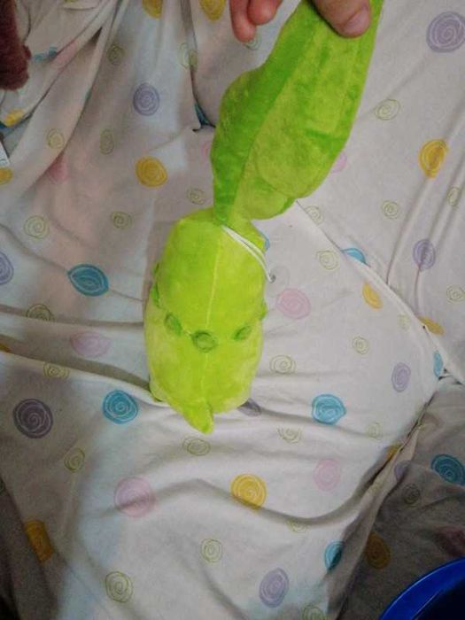 Pokémon peluche chikorita