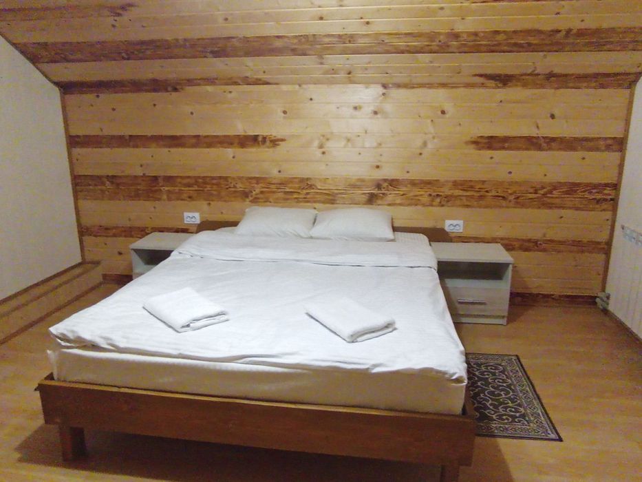 Відпочинок в Карпатах