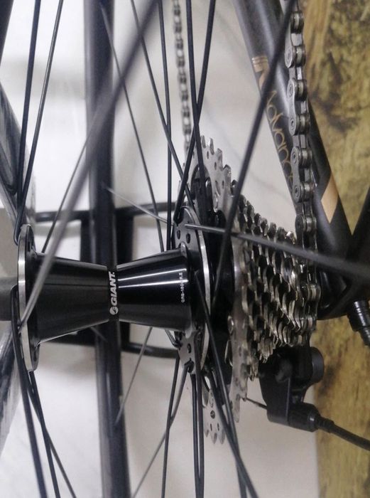 Bicicleta Giant  Advanced  TCR