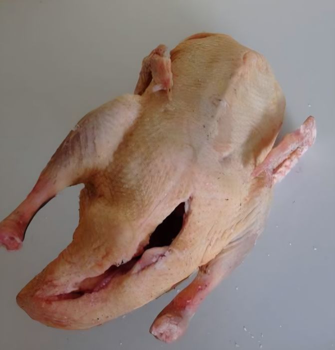 Tuszki kaczki młodej