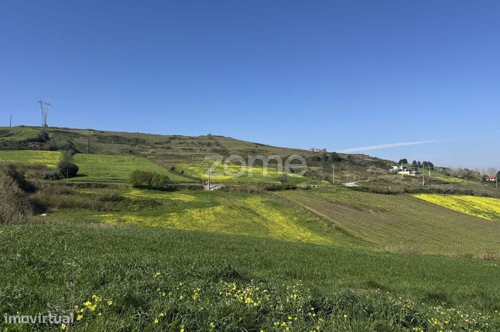 Terreno rústico com parcela urbana à beira da A8