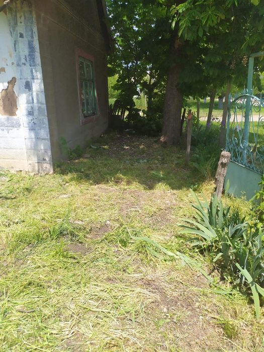 Земля (с Домом в подарок) Собственник, обмен на Бус