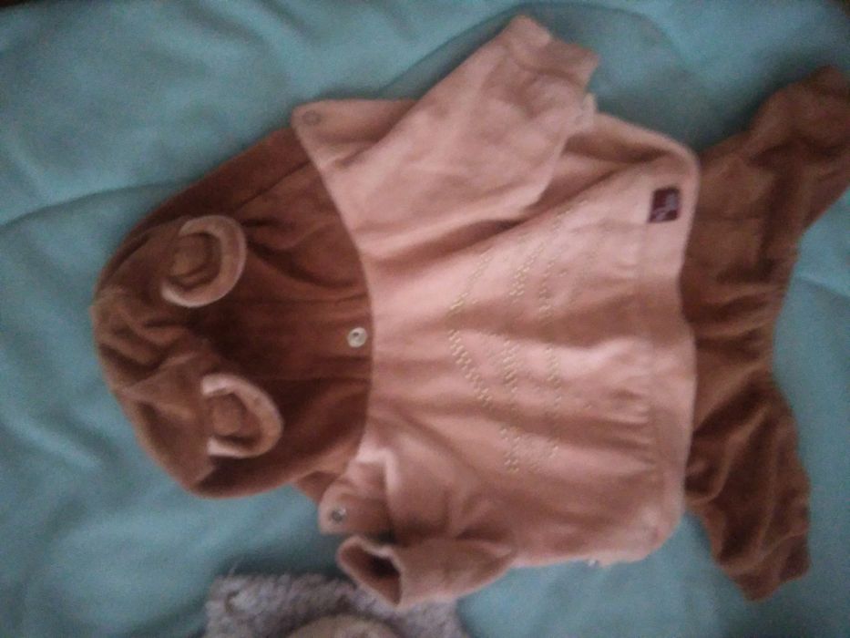 Одежда и аксессуары для собак