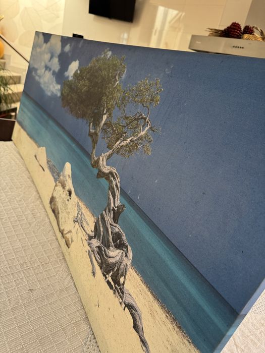 Picture as new64741164218627121