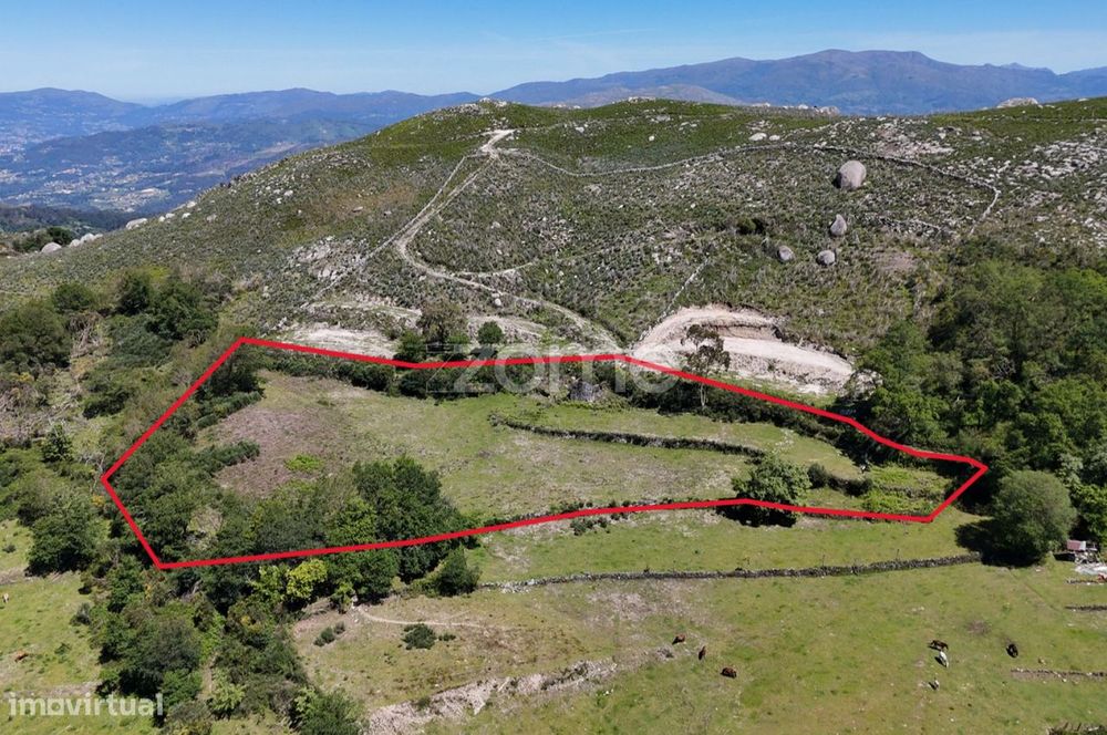 Terreno c/ruina Mixões da Serra