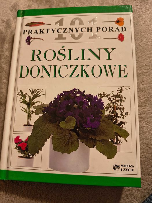 Kwiaty, Rośliny doniczkowe, Rośliny borów