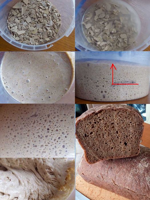 Закваска для хлеба/сдобы: сухие/живые: пшеничная, ржаная, Левито Мадре