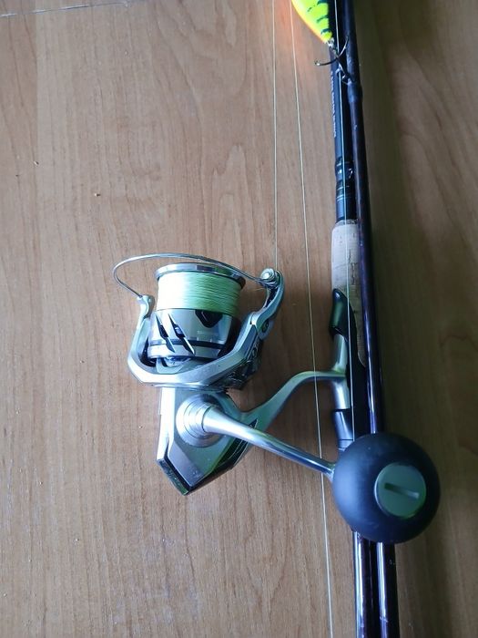 Spinning Savage Gear SG6
