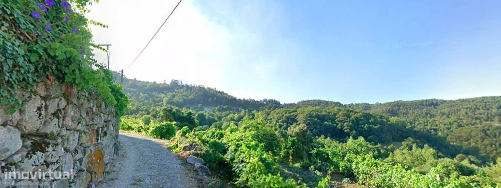 Terreno com 30 000 m2 no Douro e a 60 km Porto