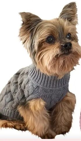 Ubranko szare wełniane S dla psa kota bluza