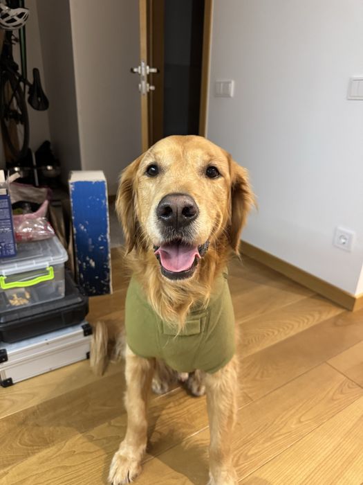 Ruffwear climate changer fleece jacket, флісова куртка для собак M
