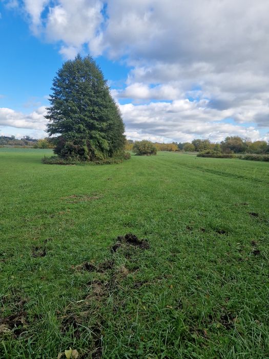 Działka nad Wisłą