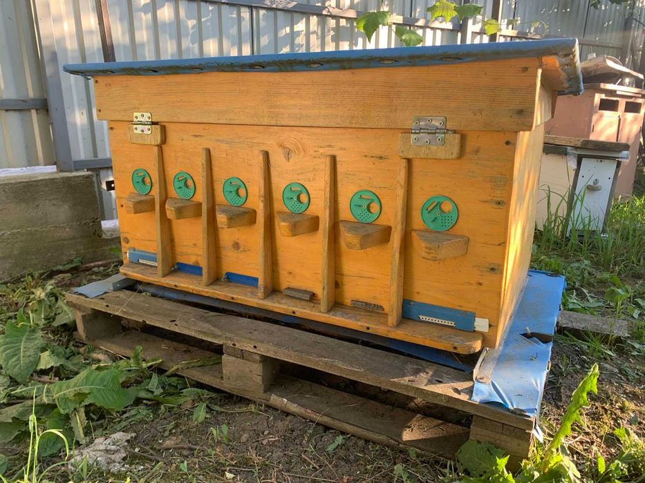 продам вулик нуклеус-лежак, рамка-Дадан