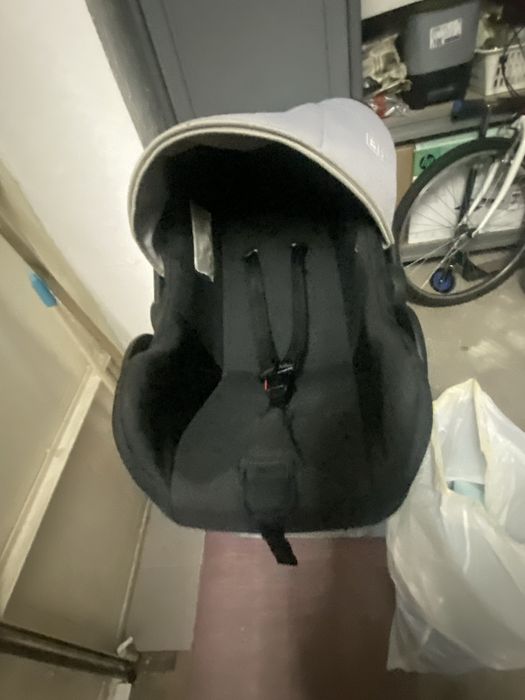 Ovo de bebe da zoppy