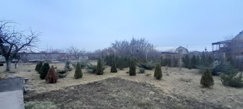 Продам дачу 12 сот  Шевченковский р,н