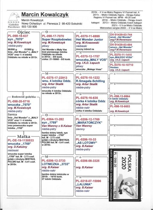 gołębie pocztowe prawnuk 20345 w 4 lata 49 konk.