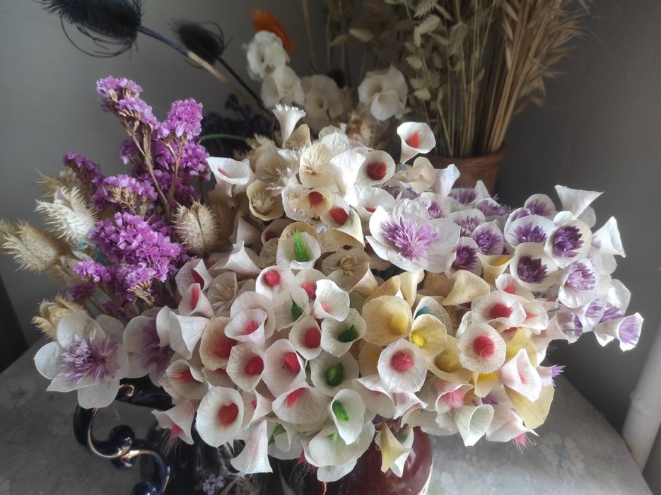 Сухоцветы  квіти та трави    Сухоцвіти