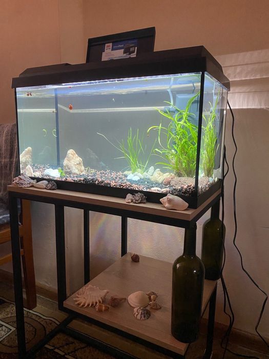 Акваріум Juwel 60л