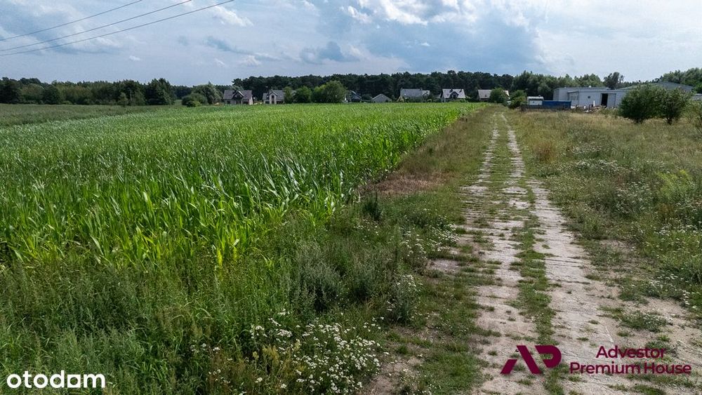 Duża działka z widokiem na drzewa
