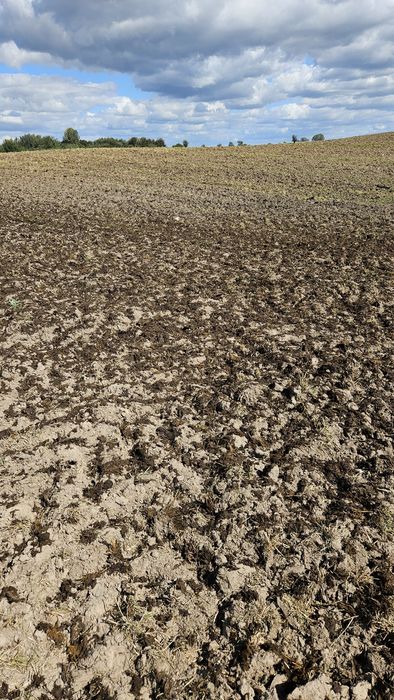 Usługi rolnicze wynajem traktorów prasowanie