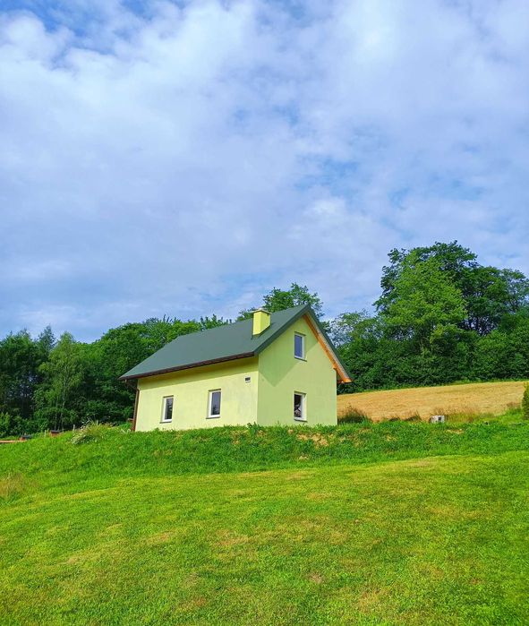 Domek letniskowy z kominkiem "Zielony Bukowiec" Noclegi Bieszczady