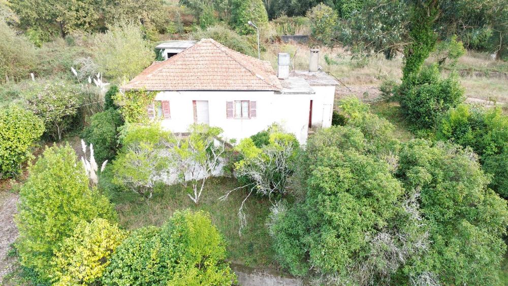 Quinta Santo Tirso