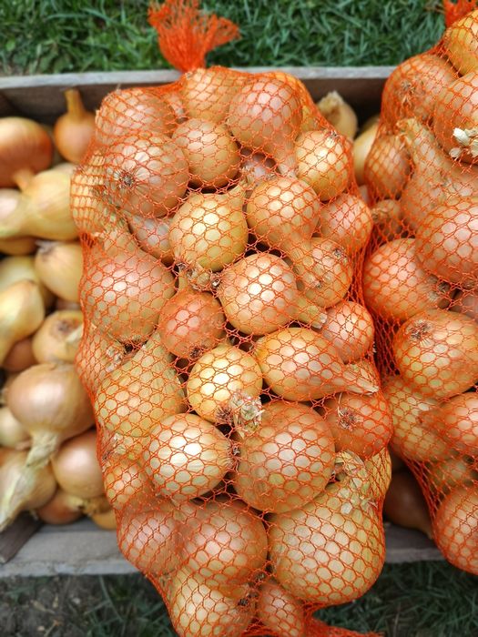 Cebula, czosnek pakiet przeciwprzeziębieniowy, wysyłka