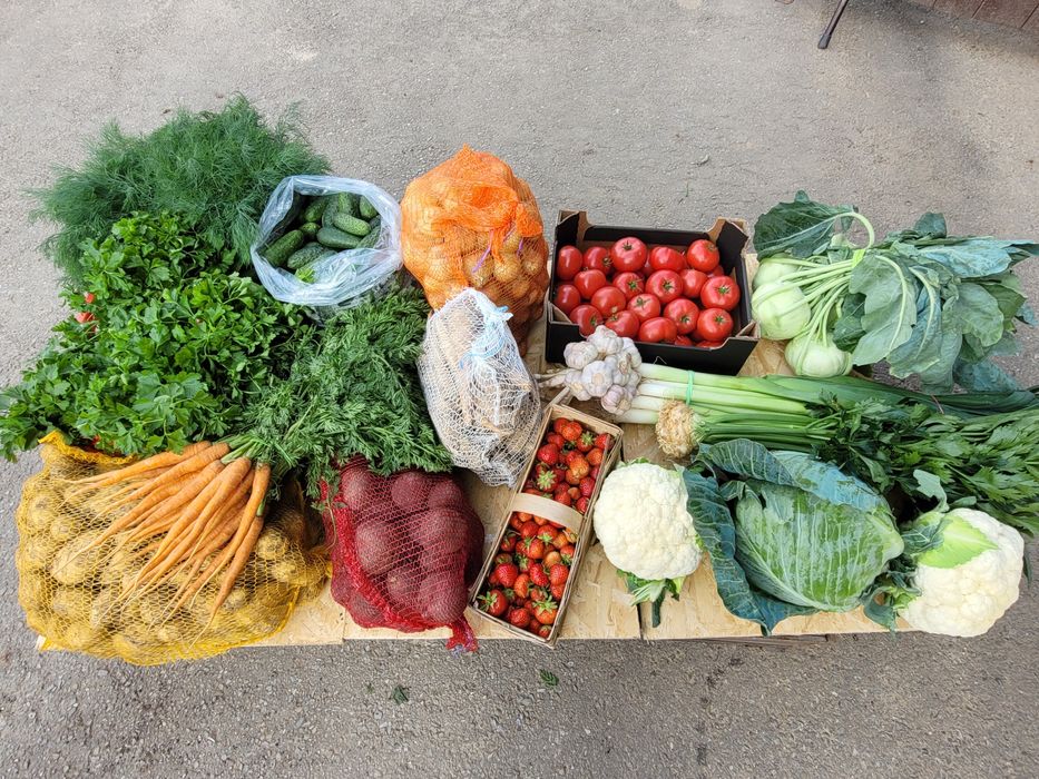 Ziemniaki, kapusta, kalafior, pomidory, ogórki, marchew, cebula