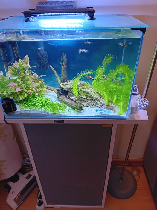 Super akwarium OPTI plus szafka  Tetra