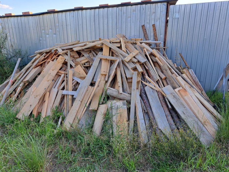 Drzewo jak na zdjęciu