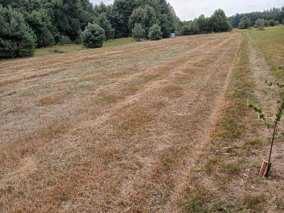 Działka budowlana Chruścice 28-400 Pińczów, świętokrzyskie - Widok 3