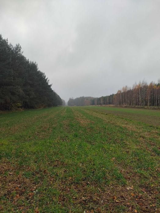 Ziemia rolna 2.4h