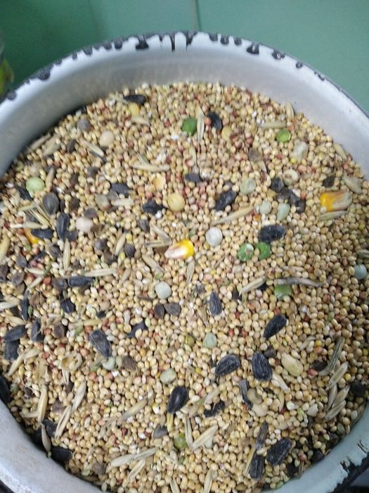 Мішанка для птиці та голубів