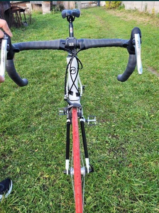 Rower szosowy, accent apex, compagnolo podzespoły