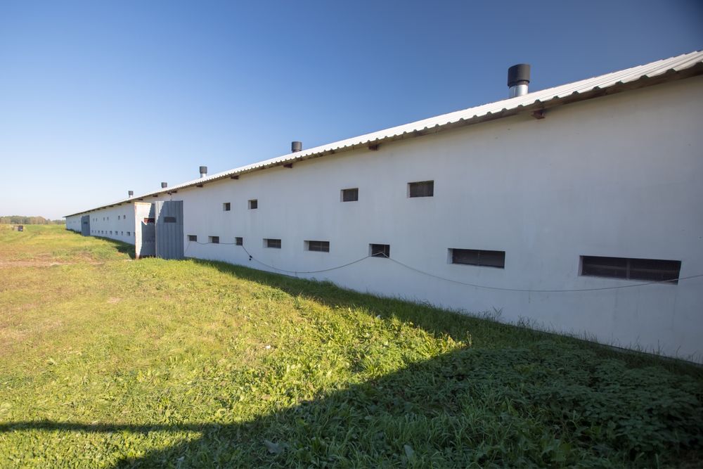 Budynek Kurnik 1600m2