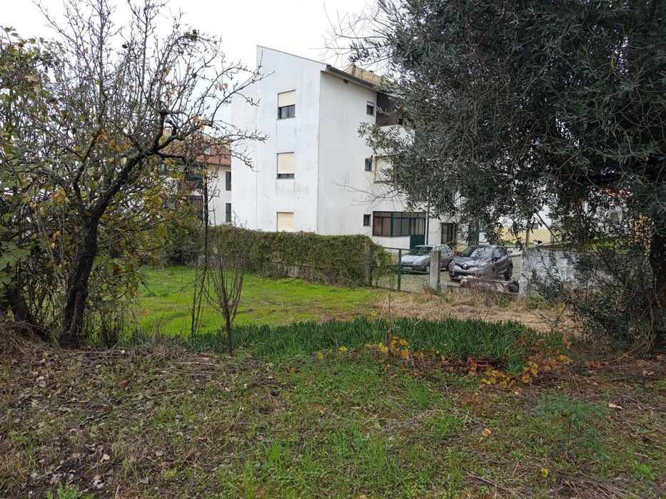 Terreno agrícola- Penalva do Castelo