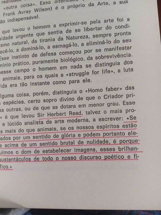 Belas-Artes e Malas-Artes