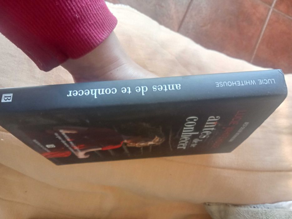 Antes de te conhecer, livro com portes incluídos