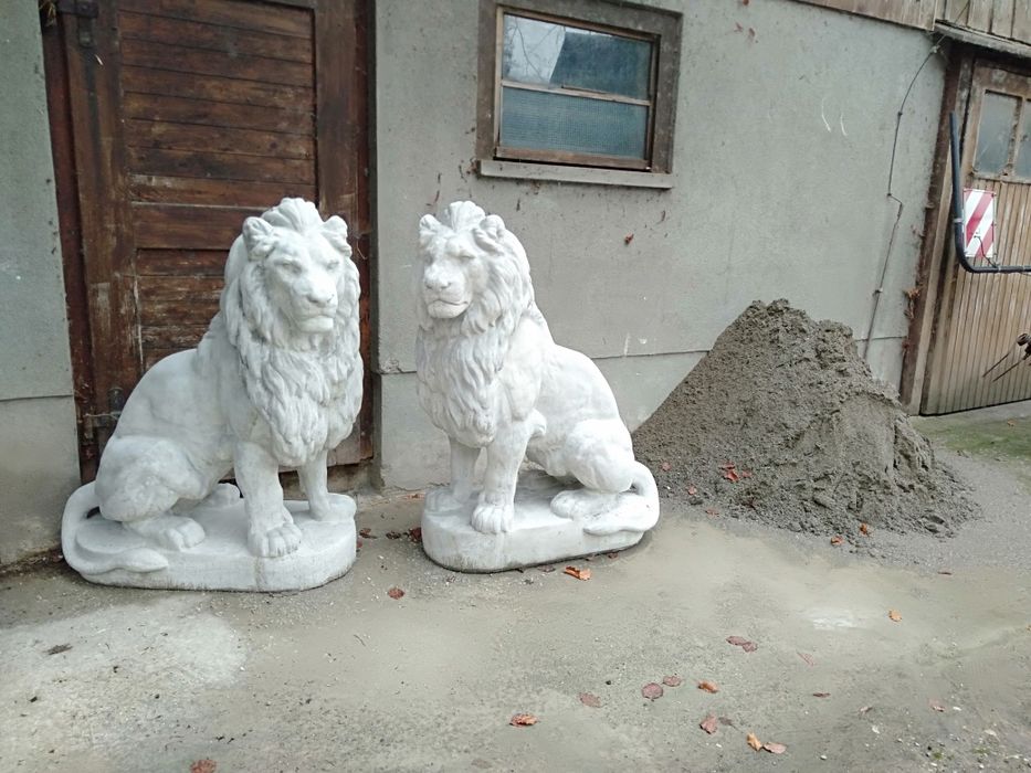 Lew betonowy duży