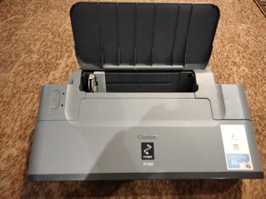 Принтер Canon, можливий ремонт та подальше використання.