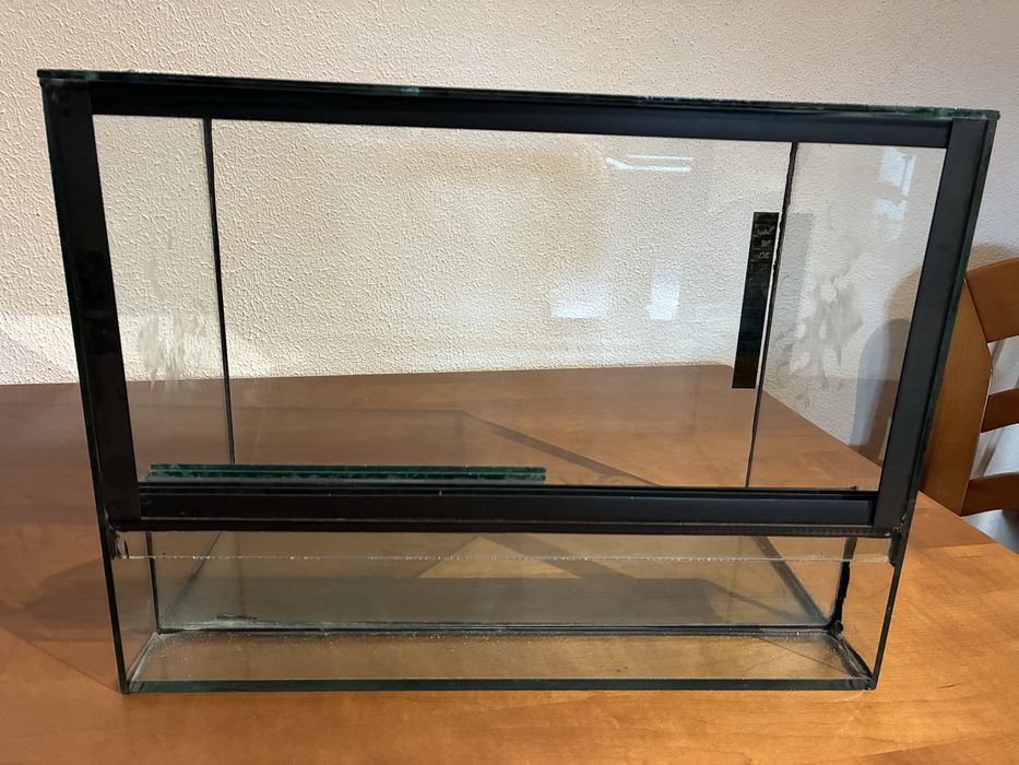 Terrário para pequeno réptil