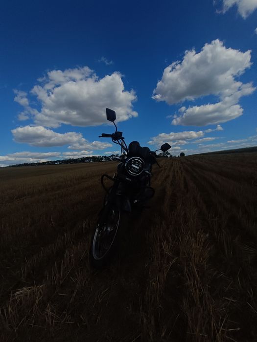 Альфа mustang fit 125 alpha мустанг фит 125