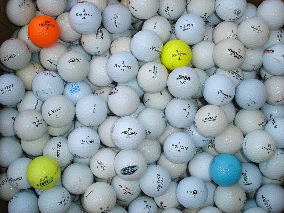 10 lakeballs + 10 piłek rangowych + pichfork