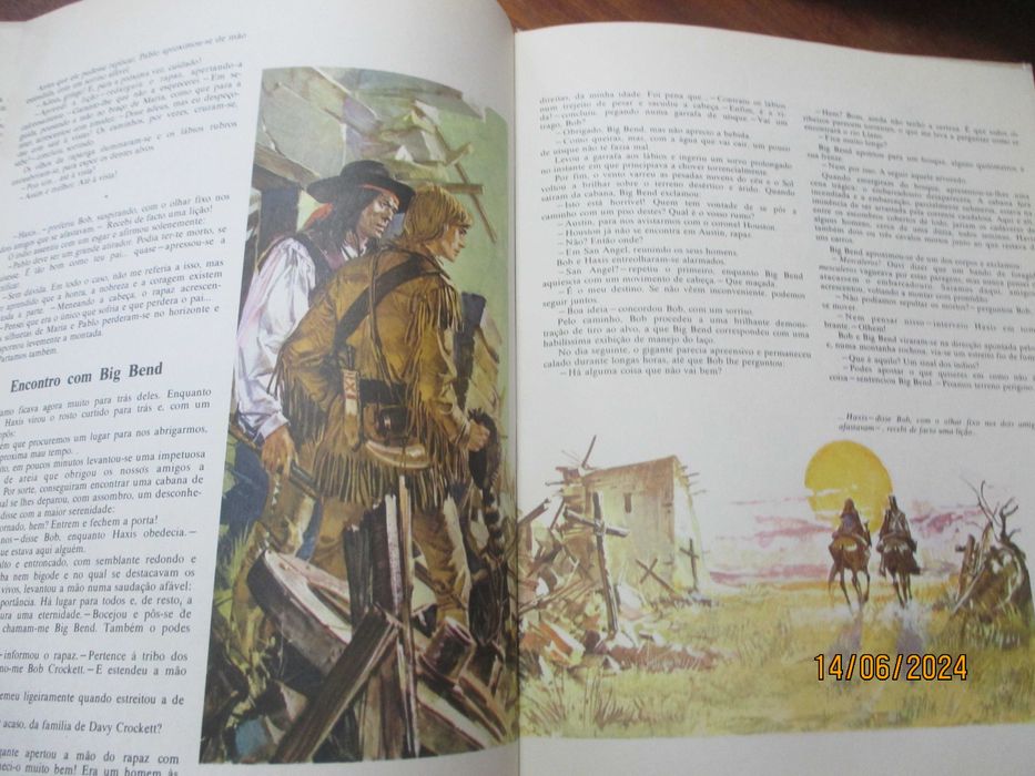 Livro - O filho de David Crockett