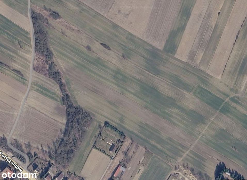 Działka rolna 5073 m² | Szczebrzeszyn | Klasy II, IIIa, IIIb | KW