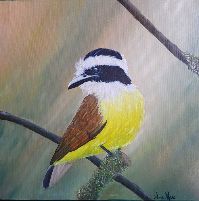 Tela "Pássaro Bem-te-vi" (Original) - Pintura à Mão (30x30cm) - Técnica Óleo sobre Tela - (artista Ana Maia)