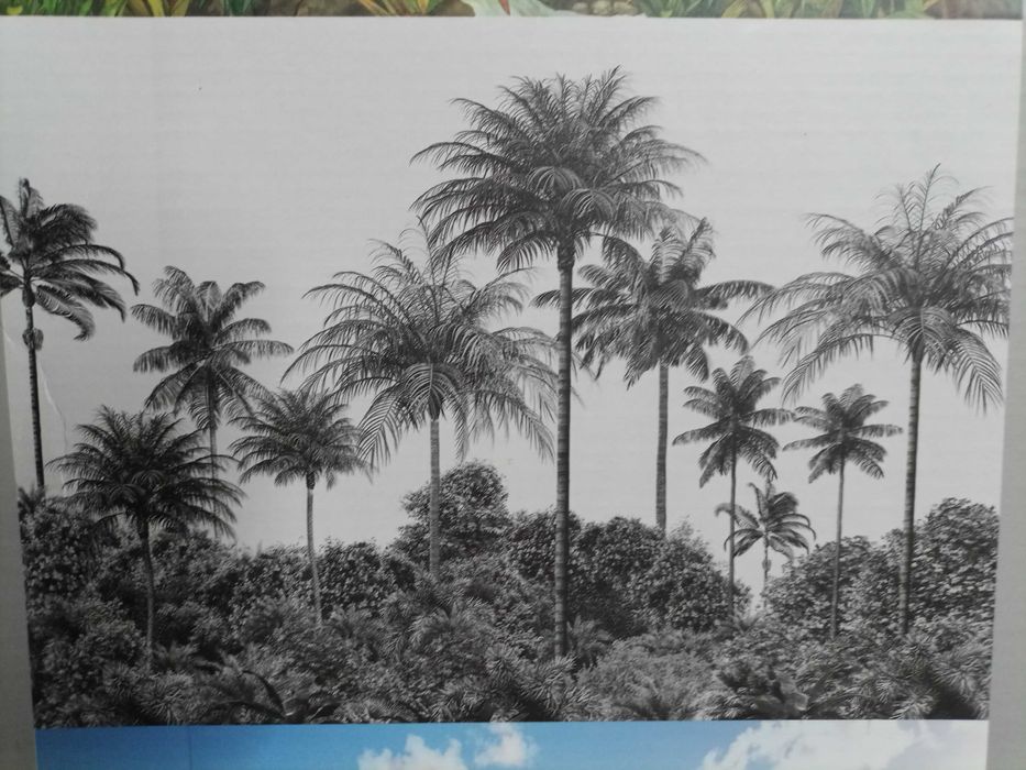 Fototapeta w tubie XXL 360X255 cm OKAZJA!