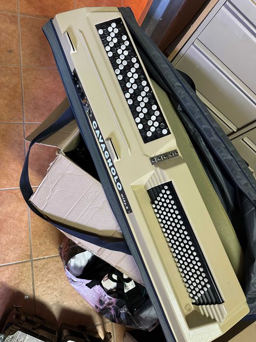 Vendo orgaon Cavagnolo