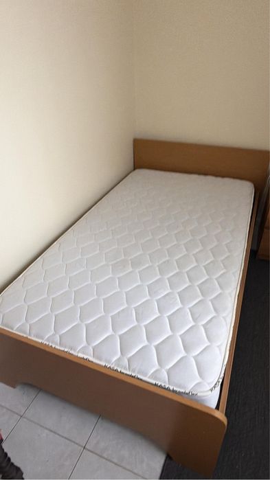 Colchão Molaflex 183x98